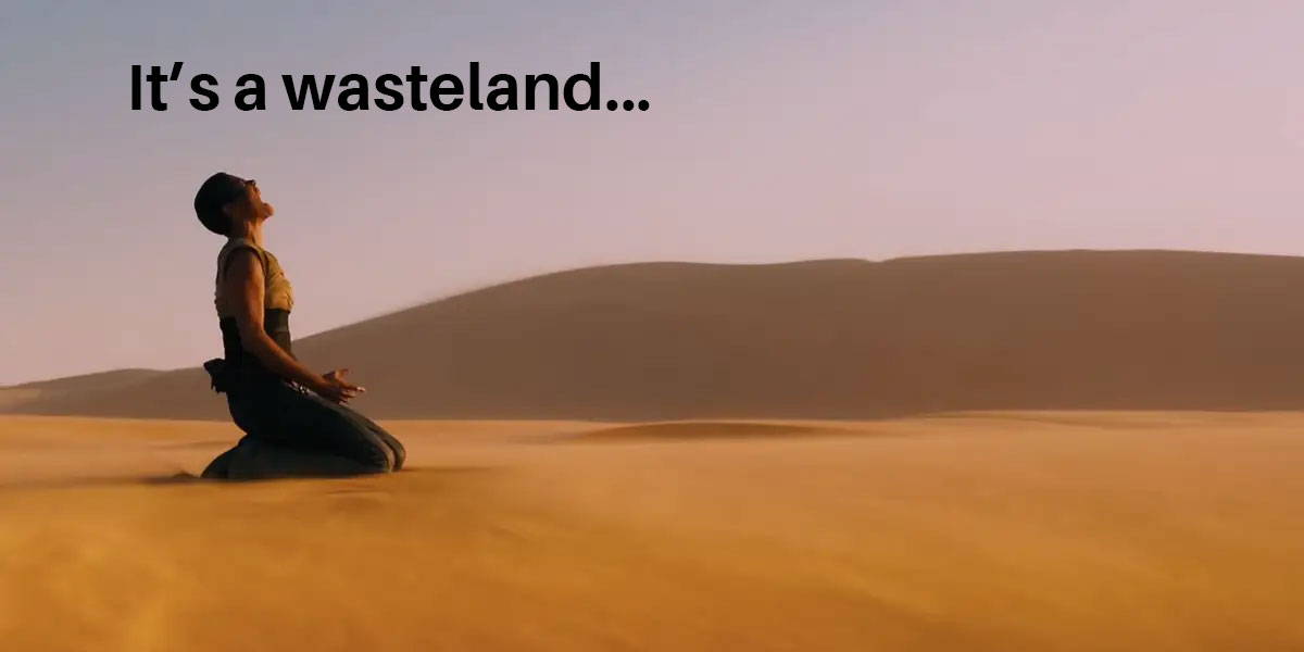 It's a Wasteland
